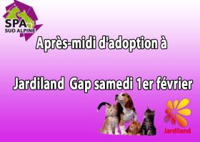 Après-midi d'adoption à Jardiland  Gap samedi 1er février