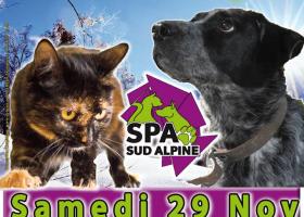 Journée adoption gap chiens  chats  spa sud alpine hautes alpes paca