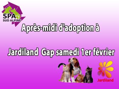 Après-midi d'adoption à Jardiland  Gap samedi 1er février