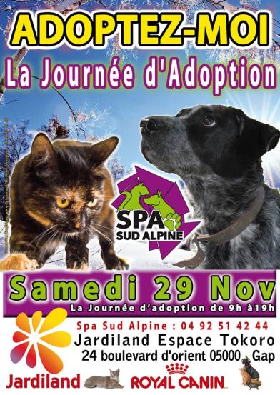 Journée adoption gap chiens  chats  spa sud alpine hautes alpes paca