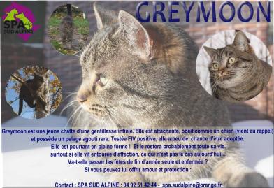 chat agouti rare adoption spa sud alpine gap veynes paca