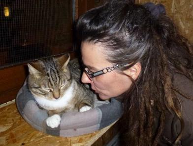 Le Chat Du Mois De Fevrier Chaussette Le Chat Des Rues Spa Hautes Alpes Le Chat Du Mois De Fevrier Chaussette Le Chat Des Rues Spa Hautes Alpes