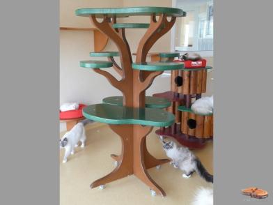 Qui Peut Nous Faire Un Joli Arbre A Chat Spa Hautes Alpes Qui Peut Nous Faire Un Joli Arbre A Chat Spa Hautes Alpes