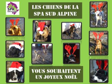 Joyeux Noel A Tous Les Amis A Deux Et Quatre Pattes Spa Hautes Alpes